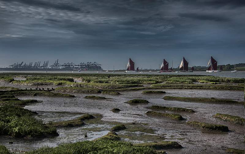 Orwell Barge Race_Sally Long.jpg